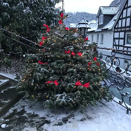 Haus Westfeld Appartement Schmallenberg Buitenkant foto