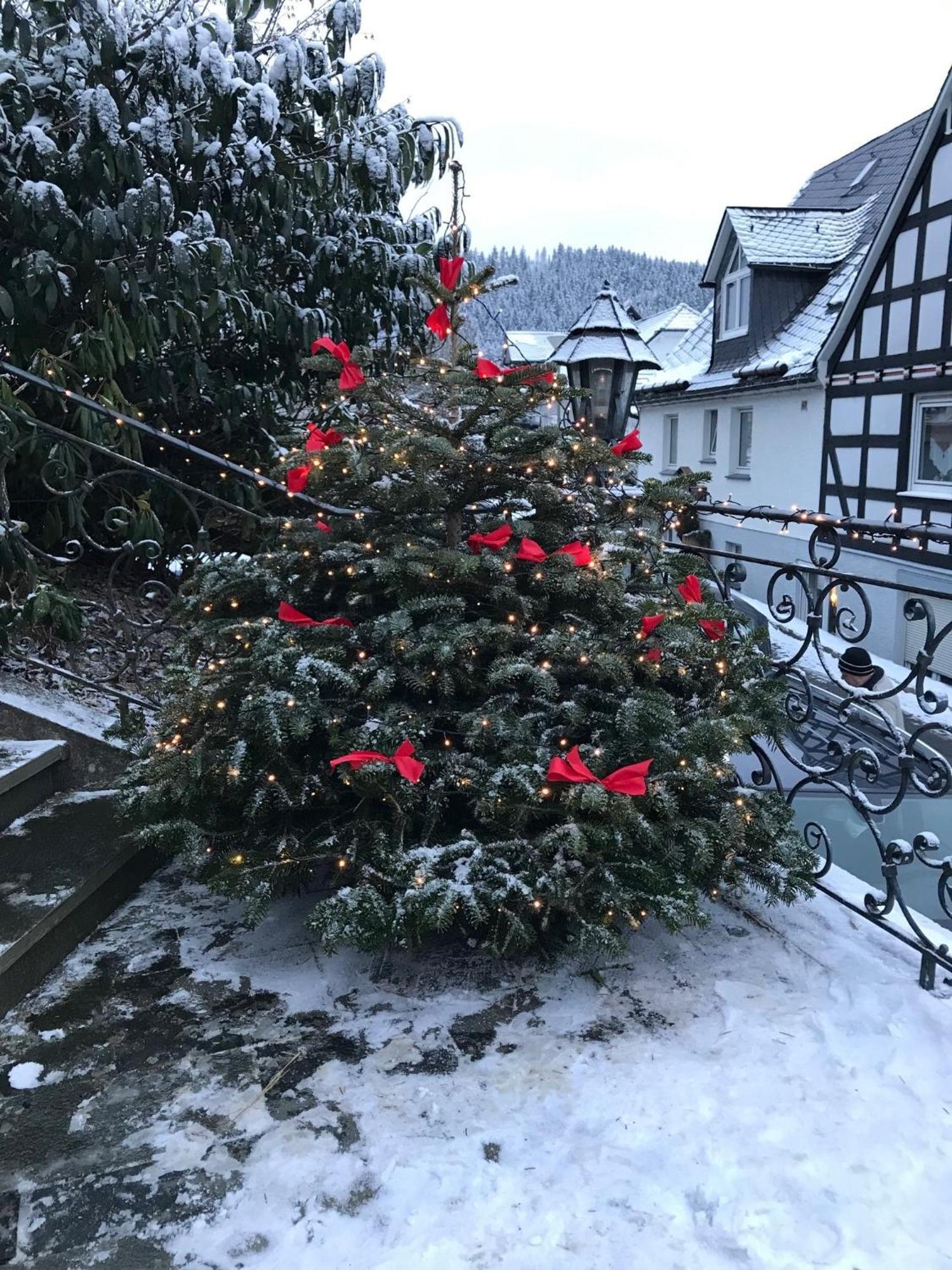 Lejlighed Haus Westfeld Schmallenberg